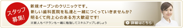 スタッフ募集!