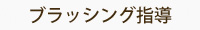 ブラッシング指導